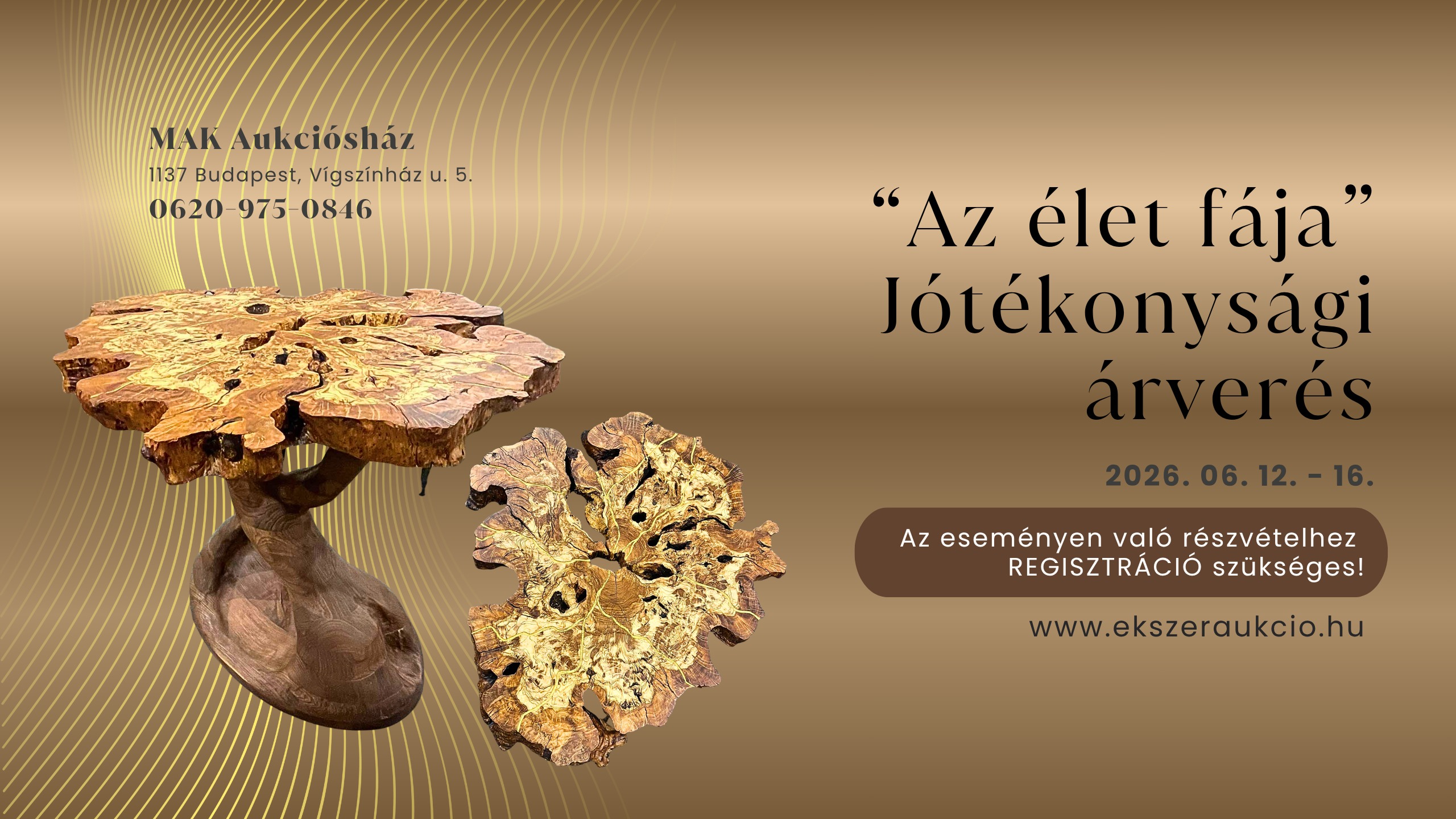Az élet fája - Jótékonysági árverés 2026.06.12-16.